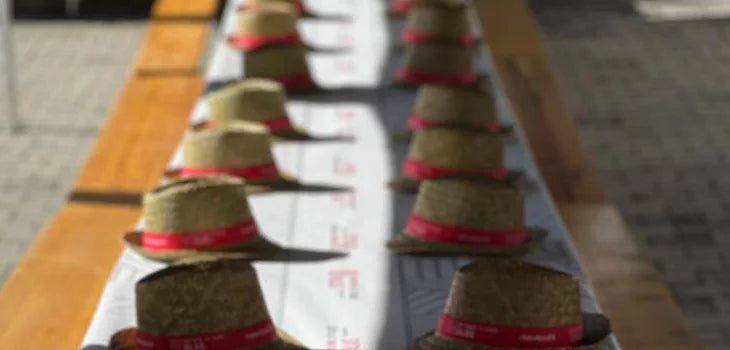 Valais wines tavolata